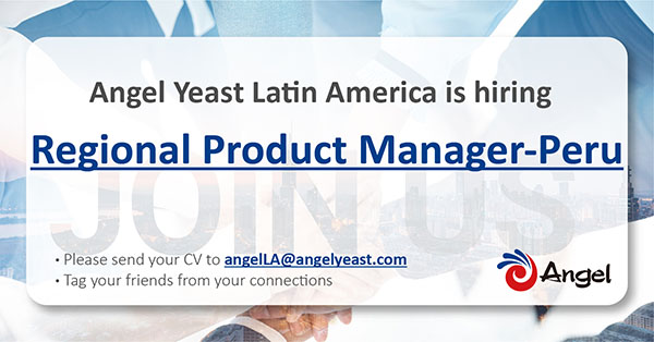 angel LA2_画板 1(3).jpg