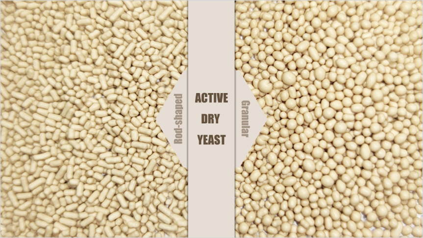 三级-yeast-09.jpg