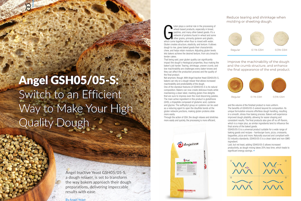 Angel GSH05/05-S: Switch to an Efficient Way to Make Your High Quality Dough