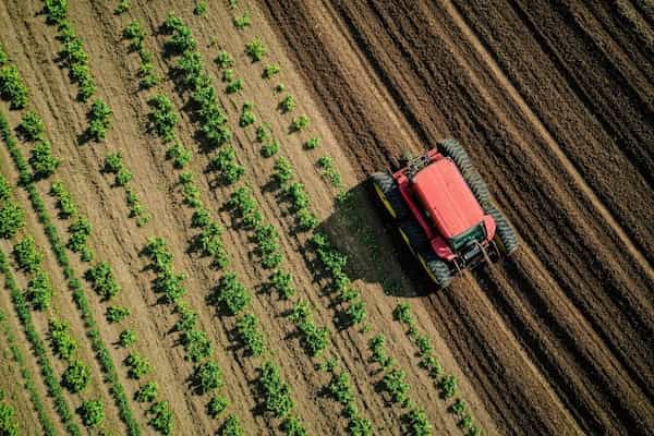 Angel's Bacillus BioSolutions: Sustainable Agriculture Made Simple