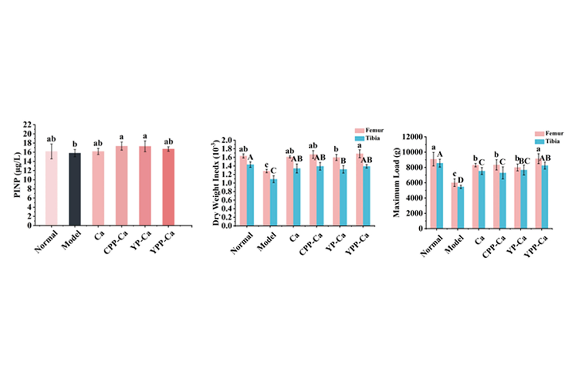 Partial-analysis-results-of-serum-indicators-and-valuation-tables-in-low-calcium-rats.jpg
