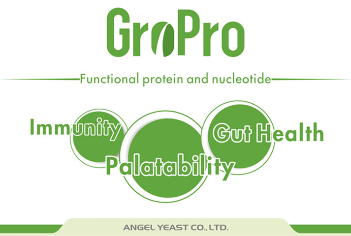 Sales of Angel Animal Nutrition's plasma protein replacer exceeds 10,000 tonnes