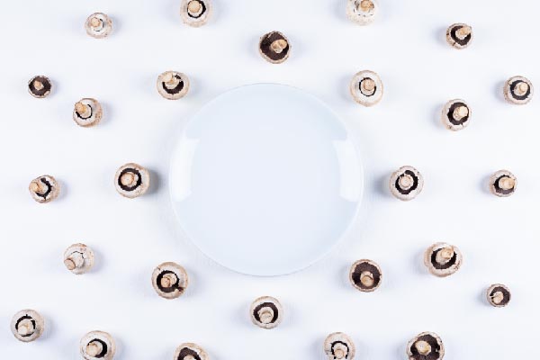 Seed culture solution of Edible fungus