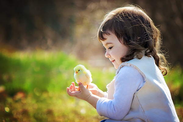 Selenium Yeast, More Safety and Efficacy for Animal's Antioxidative Ability