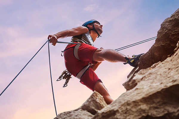 Vitamin K2 Plays an Important Role in Bone Health and Vascular Health