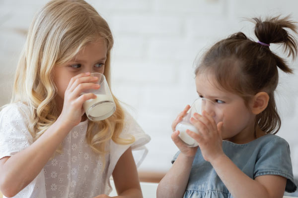 How optimized fermentation nutrients improve the production of lactic acid bacteria