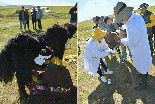 Angel Group's First Industrialized Strain of Probiotics Anchors Strategic Transformation Towards Biotechnology