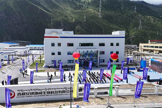 Angel Yeast Expands into Probiotics R&D and Production, Advances Biotech Transformation