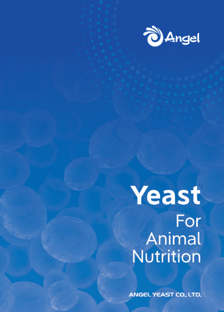 Solu??es de Levedura Halal para Nutri??o Animal