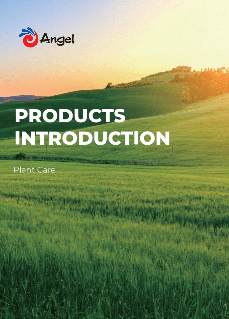 Departamento de Nutri??o e Prote??o das Plantas